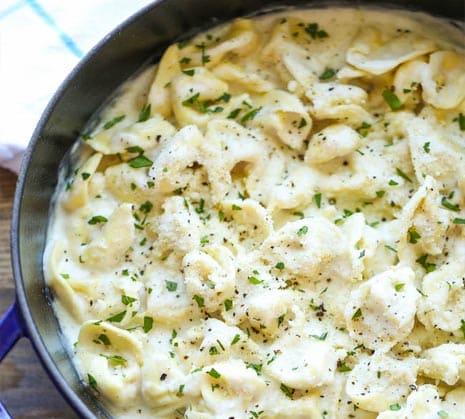 Tortellini Alfredo